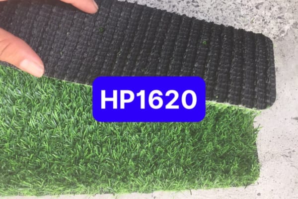 Ảnh thực tế dòng cỏ nhân tạo 2 cm mã Hp1620. Cỏ dày và đế 3 lớp bảo hàng 3 năm